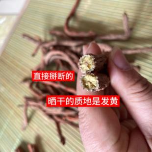 野生丹山参汗直西道地药AZI材发丹参原产地发500g包邮