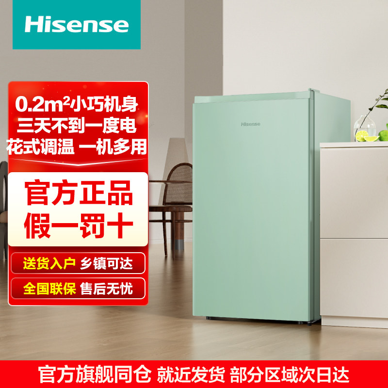 Hisense/海信95L升冰冰吧