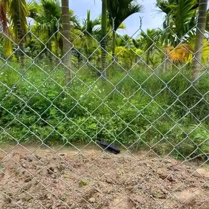 镀锌铁丝网钢丝勾花网护栏网养猪养羊养狗围O栏鸡鸭果园鱼塘防护