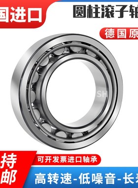 德国原装进口圆柱滚子轴承NJ 256 NJ260 NU 256 NU260 264 272 M