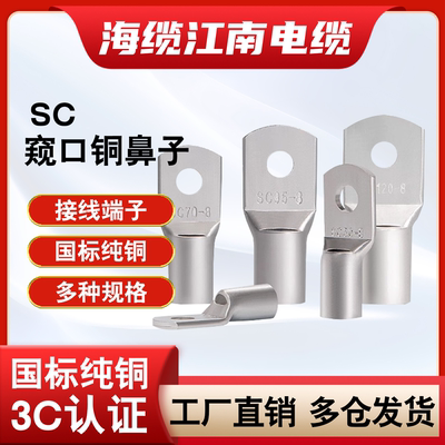 SC窥口铜鼻子线鼻紫铜线耳冷压接线端子6/10/35/70/95/120/18平方