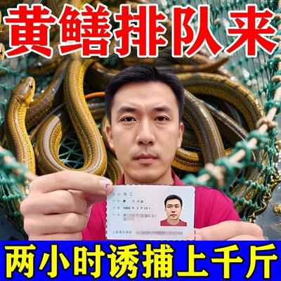 黄鳝排队来】黄鳝诱饵抓泥鳅鳝鱼