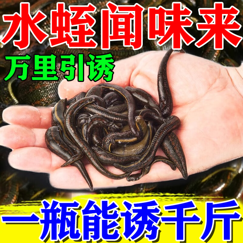 3秒水蛭来】水蛭蚂蝗捕捉器饵料