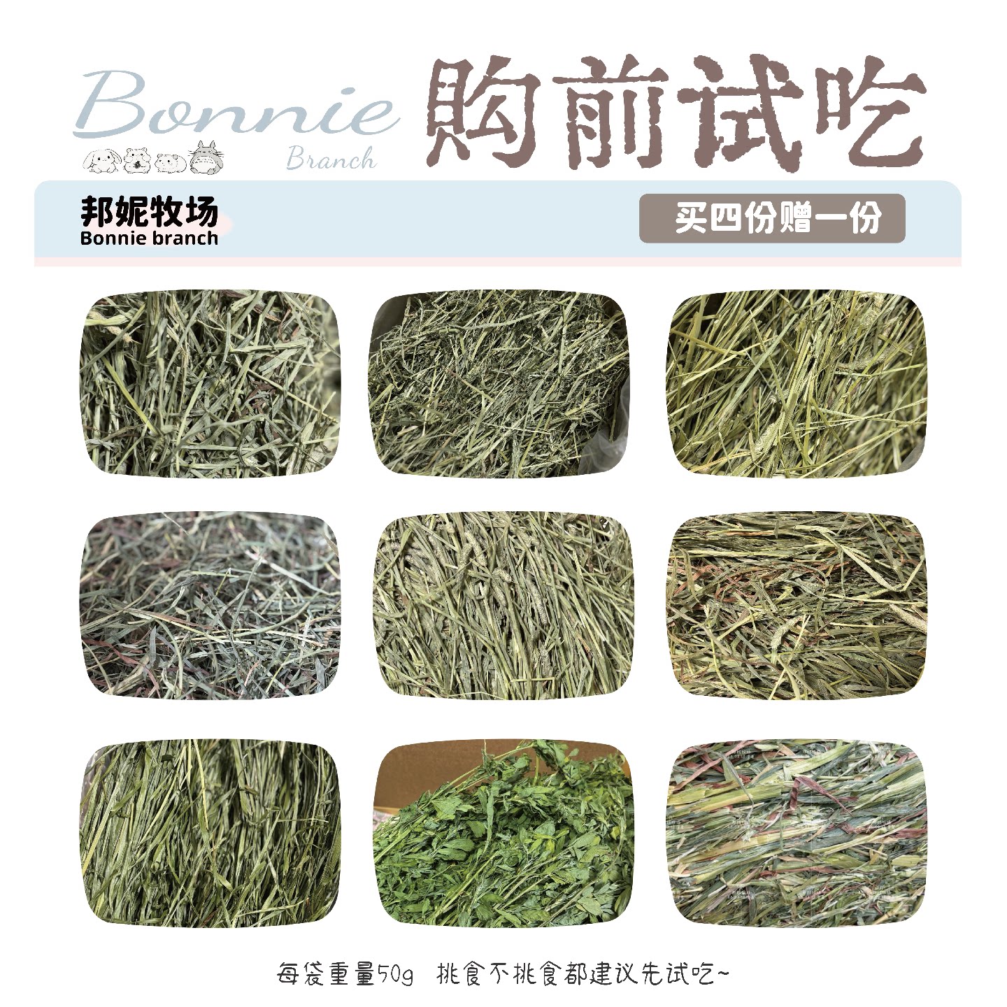邦妮牧场十几种牧草试吃挑食兔