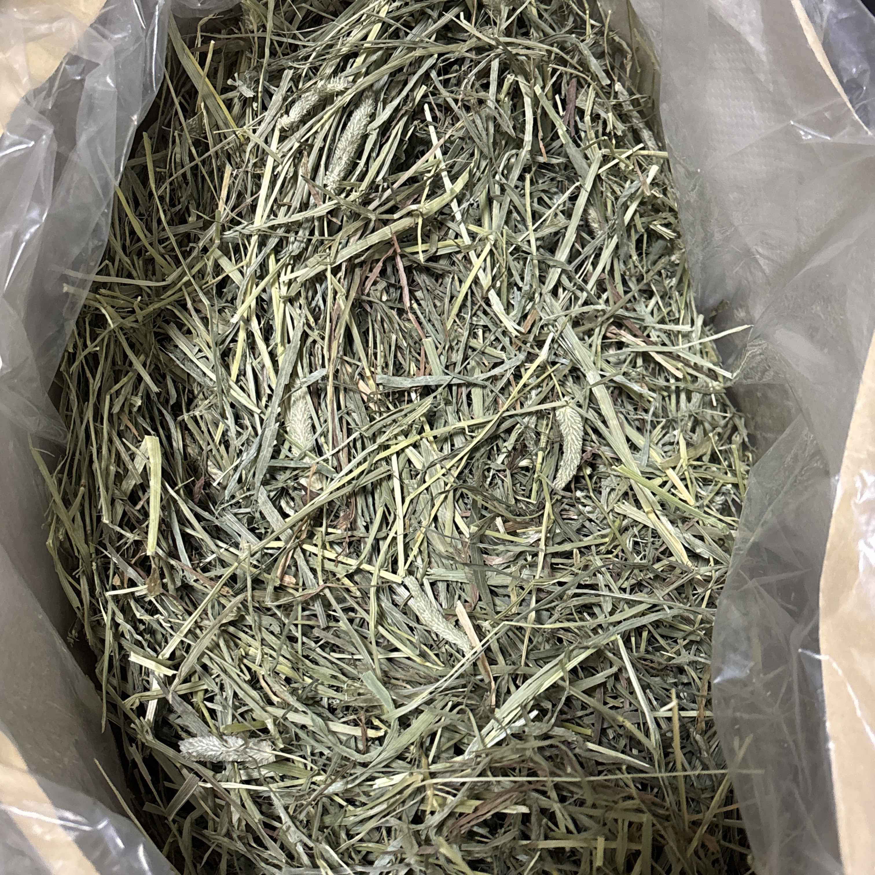 量贩大袋装美提加提挑食兔主草