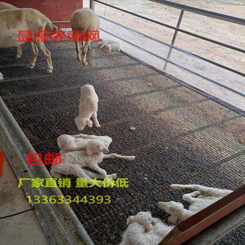 羊床钢丝网漏粪网养羊用的设y备钢网鸡鸭鹅漏粪网热镀锌编织围栏