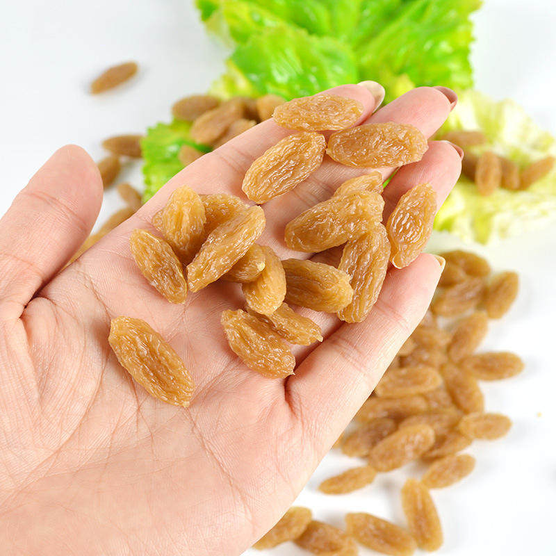 干货仿真坚果模型1:1摆放道具摆件用品葡萄干