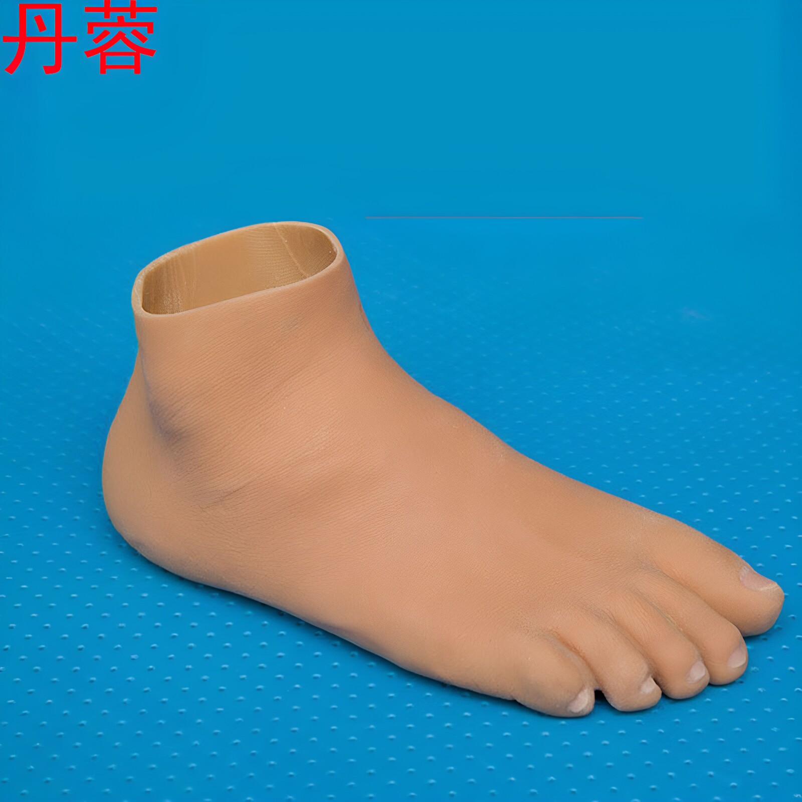 丹蓉进口硅胶半足假肢碳纤板脚掌脚趾截肢专用假脚断脚断残脚走路