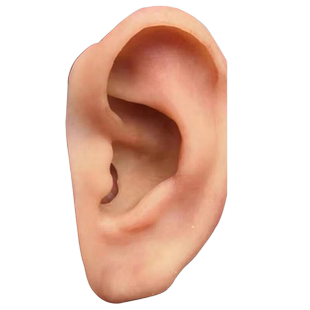 丹蓉仿真耳朵假肢皮肤遮伤疤纹身德国进口硅胶义肢量身定做假义耳