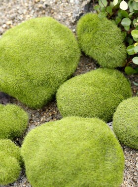 Simulation Moss False Green Stone Rock Lichen Plant Miniatu