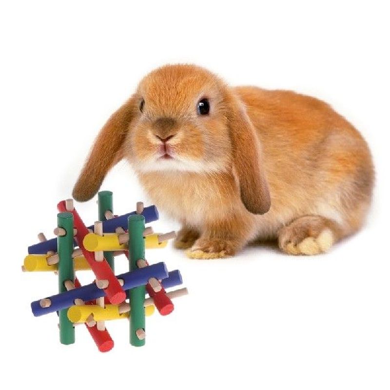 Rabbit Wood Knot Nibble Chew Ball Toy Teeth Grinding