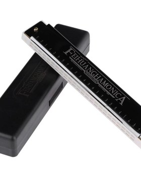 24 Hole Tremolo Harmonica C Key Octave-tuned Mouth Organ  wi