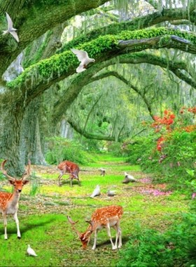 custom wall stickers landscape wallpapers for living room B