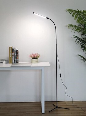 LED Floor Light Modern Standing Lamp Simple Style Study Room