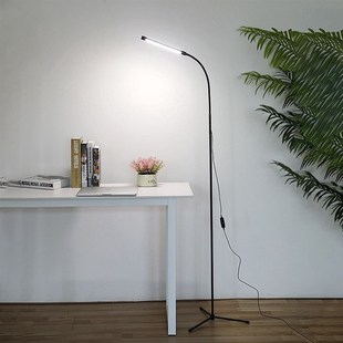 LED Floor Light Modern Standing Lamp Simple Style Study Room