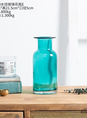 newNordic Flower Vase Hydroponics Plant Decoration Artwork