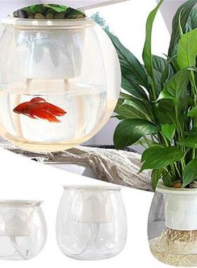 Self Watering Planter Violet Pots Clear Plastic Automatic