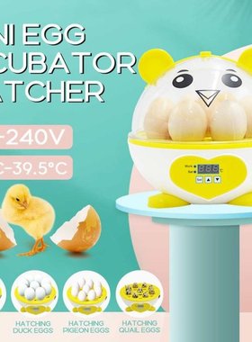 220V Eggs Incubator Brooder Automatic Farm Incubation Tools