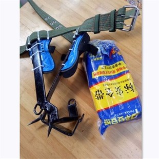 Artifact Climb Tree Picked Fast Outdoor Nut Betel Climbing