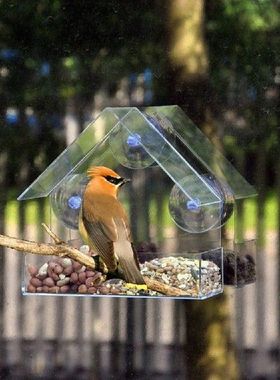 Transparent Glass Window Viewing Bird Feeder Hanging