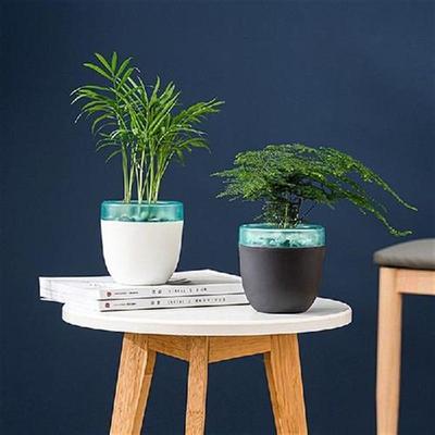 Self Watering Flower Pot Breathable Rounded Edging Nursery