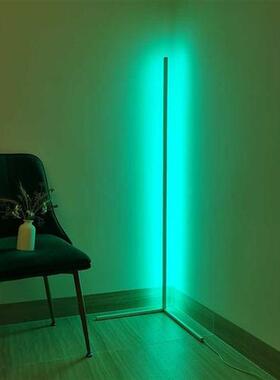 Modern LED Floor Lamp RGB Light Colorful Floor Lamps For Liv