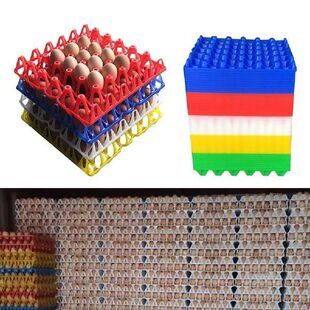 1PCS 30eggs capacity plastic layer egg tray crate box