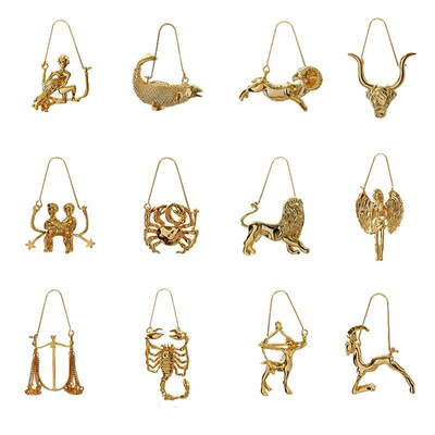 3D Star Zodiac Sign 12 Constellation Coin Earrings for Wome
