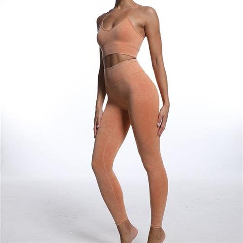 Yoga Sets Gym Women Sport Bra Clothing Long Sve Top High