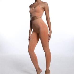 Yoga Sets Gym Women Sport Bra Clothing Long Sve Top High