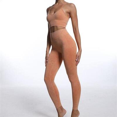 Yoga Sets Gym Women Sport Bra Clothing Long Sve Top High