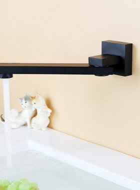 Black Brass Shower Faucet Spout Wall Mounted Swive Bath Spou