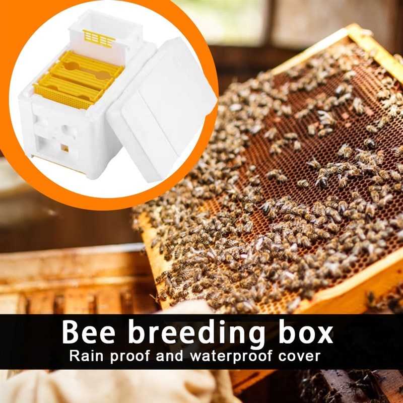 Beehive Beekeeping King Box Foam Home Bee Hive Pollination B