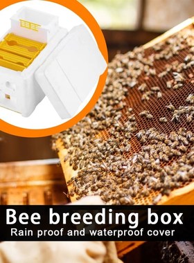 Beehive Beekeeping King Box Foam Home Bee Hive Pollination B