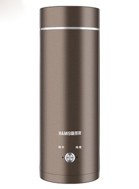 Portable Mini Electric Kettle Water Thermal Heating Boiler