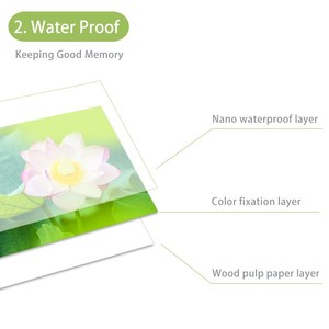 Topcolor Compatible Canon Selphy CP1300 CP1200 CP1000 CP910