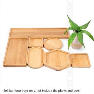 12Pcs Bamboo Tray Wood Nursery Plants Desktop Pot Saucer