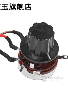 110-220V 500W Spindle Motor With Speed Governor 52mm Clamp