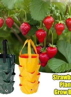 3 Gallons Garden Planting Bag Strawberry Grow Bag Reusable