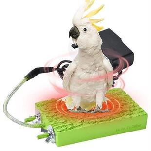 Heated Perches For Birds Thermostatic Parrot Stand Perch