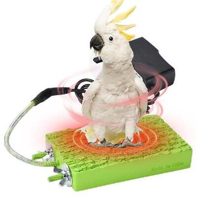 Heated Perches For Birds Thermostatic Parrot Stand Perch