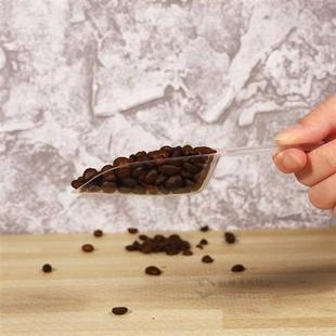 5pcs Mini Clear Plastic Ice Scoop Measuring Scoops for Weddi