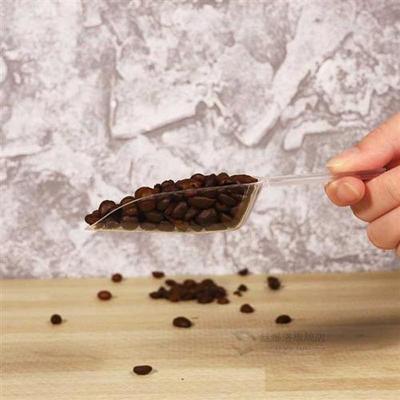 5pcs Mini Clear Plastic Ice Scoop Measuring Scoops for Weddi