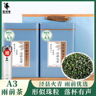 霍将军泾县火青A3A4罐装2025新茶安徽宣城涌溪正宗火青绿茶叶500g