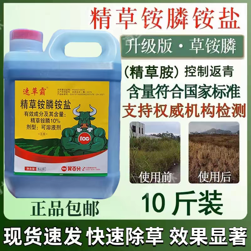 速草霸精草铵膦铵盐高浓度果园荒地强力除草烂根剂杀草剂正品农药