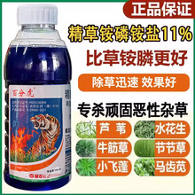 兆如丰速草风精草铵磷铵盐除草烂根剂一扫精草胺磷正品农药除草剂