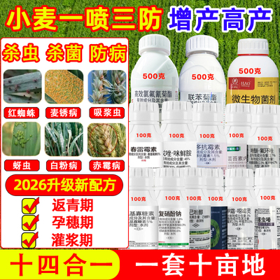 小麦一喷三防高产十四合一杀菌防病防虫调节生长增产一套十亩地