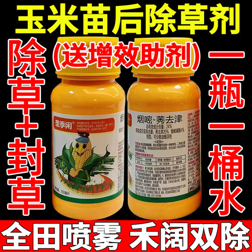 玉米地除草专用剂玉米苗后除草专用剂烟嘧莠去津玉米苗封闭药