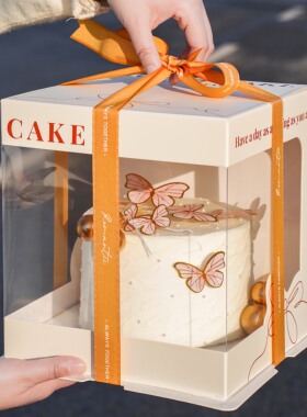 2026新款蛋糕盒子包装盒透明生日蛋糕盒68六八十双层加高定制