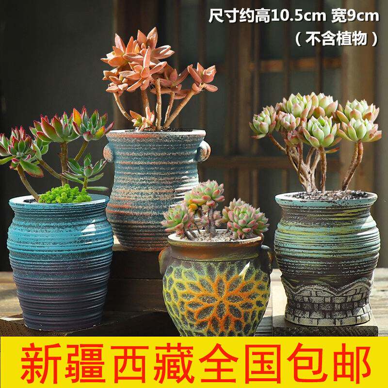 新疆包邮多肉花盆大号老桩法师老庄特价清仓创意个性陶罐粗陶陶瓷